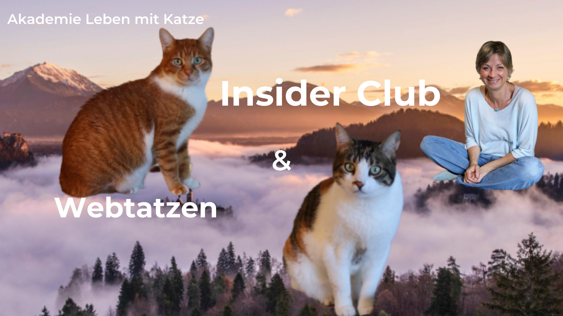 club & Webtatzen leben mit katze akademie, katja henopp